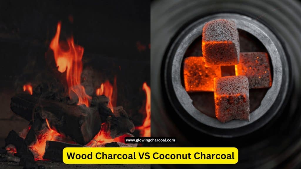 Coconut Charcoal VS Wood Charcoal for Shisha