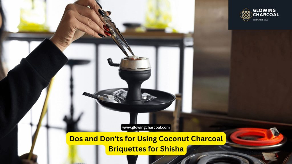 Dos and Don'ts for Using Coconut Charcoal Briquettes for Shisha