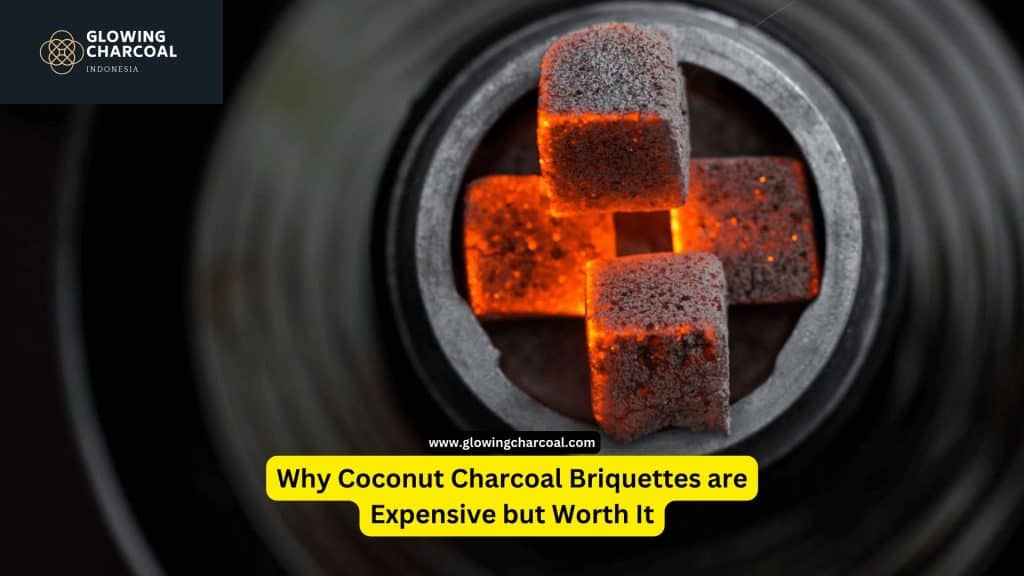 Why Coconut Charcoal Briquettes are Expensive but Worth It