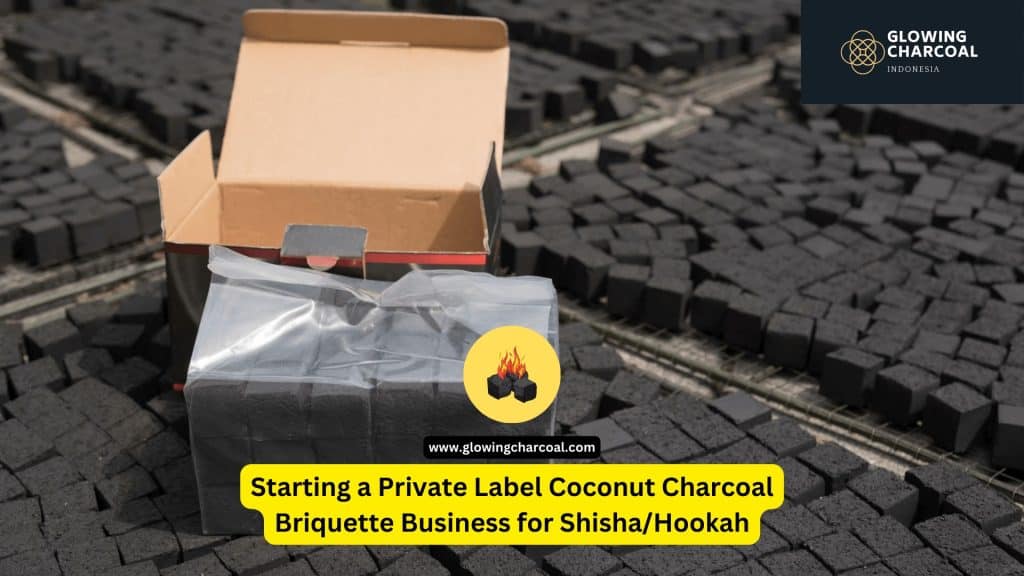 Starting a Private Label Coconut Charcoal Briquette Business for Shisha/Hookah