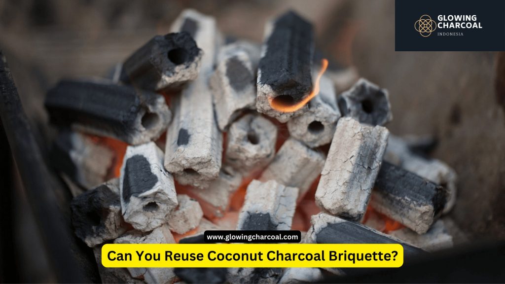 Can You Reuse Coconut Charcoal Briquette?