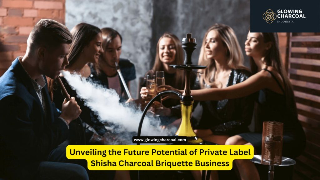 Unveiling the Future Potential of Private Label Shisha Charcoal Briquette Business