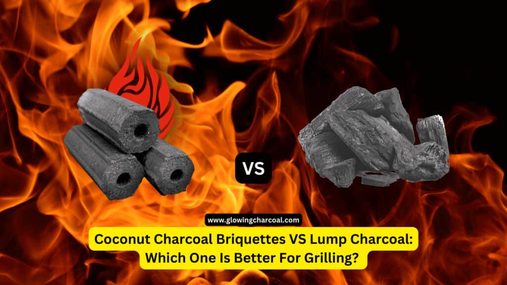 Coconut Charcoal Briquettes VS Lump Charcoal: Which One Is Better For Grilling?