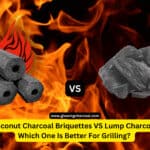 Coconut Charcoal Briquettes VS Lump Charcoal: Which One Is Better For Grilling?