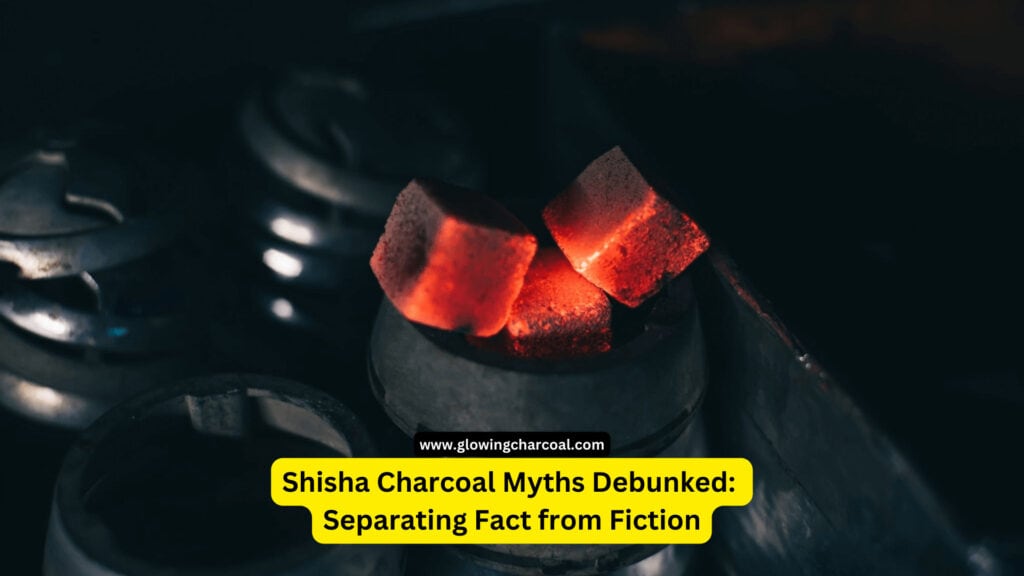 Shisha Charcoal Myths Debunked: Separating Fact from Fiction