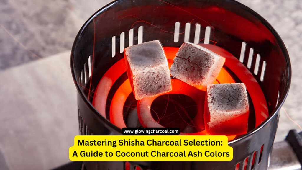 Best hookah coals: A guide to natural hookah charcoal for 2024