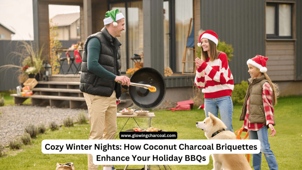 Cozy Winter Nights: How Coconut Charcoal Briquettes Enhance Your Holiday BBQs