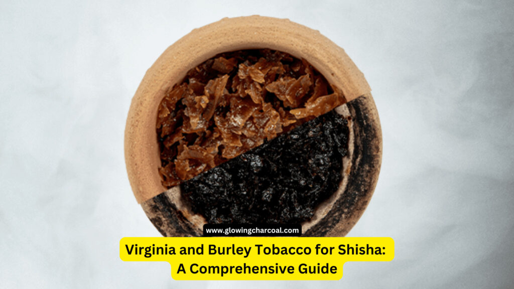 Virginia vs. Burley Tobacco: A Comprehensive Comparison for Shisha.