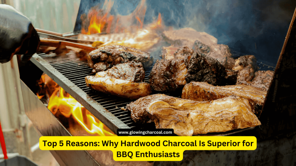 Top 5 Reasons Why Hardwood Charcoal Is Superior for BBQ Enthusiasts