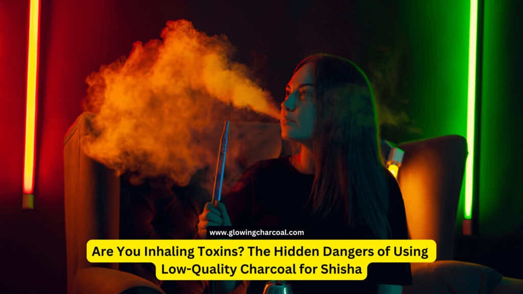 Are You Inhaling Toxins? The Hidden Dangers of Using Low-Quality Charcoal for Shisha