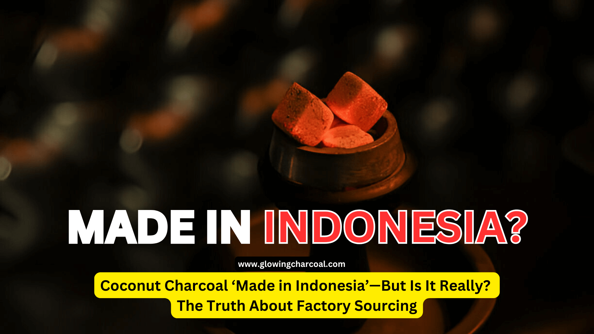 Coconut Charcoal ‘Made in Indonesia’—But Is It Really? The Truth About Factory Sourcing