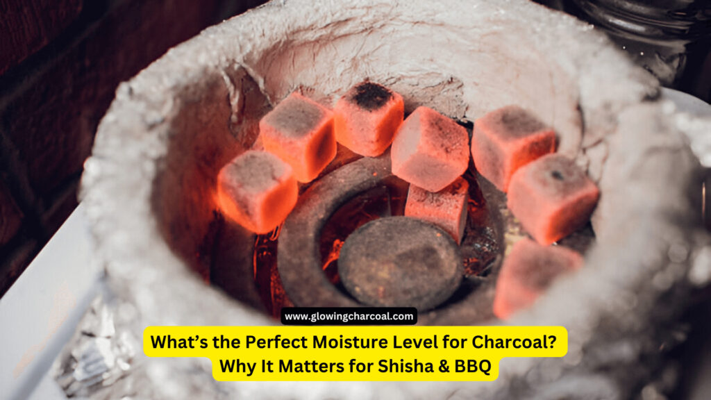 What’s the Perfect Moisture Level for Charcoal? Why It Matters for Shisha & BBQ