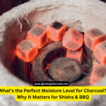 What’s the Perfect Moisture Level for Charcoal? Why It Matters for Shisha & BBQ