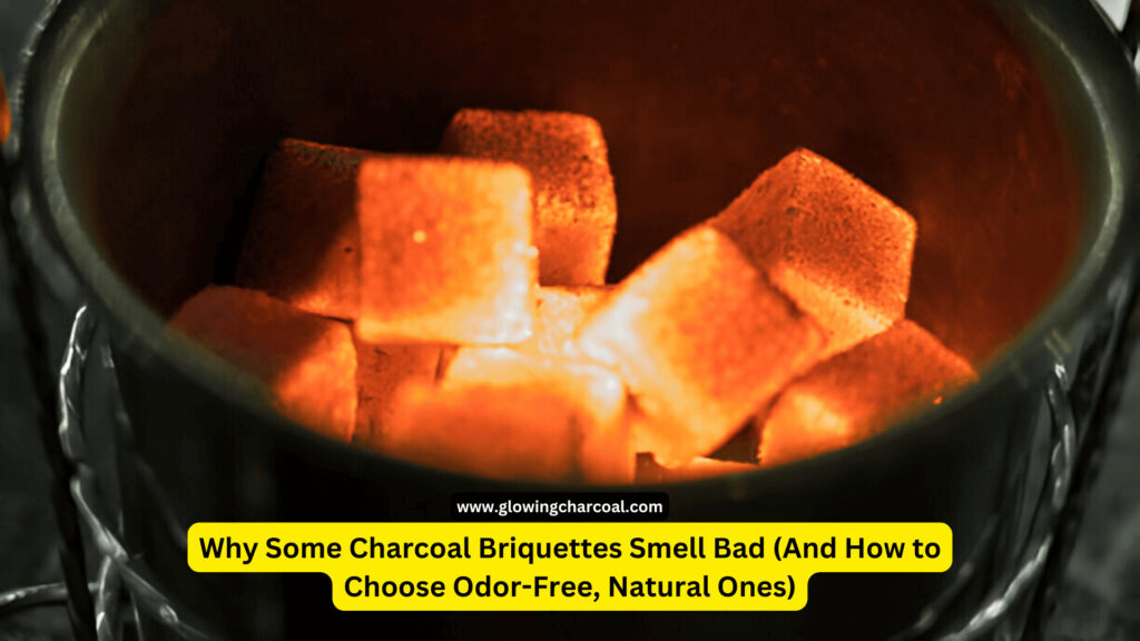 Why Some Charcoal Briquettes Smell Bad (And How to Choose Odor-Free, Natural Ones)