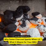 Why Some Charcoal Sparks When Lit – What It Means for Your BBQ