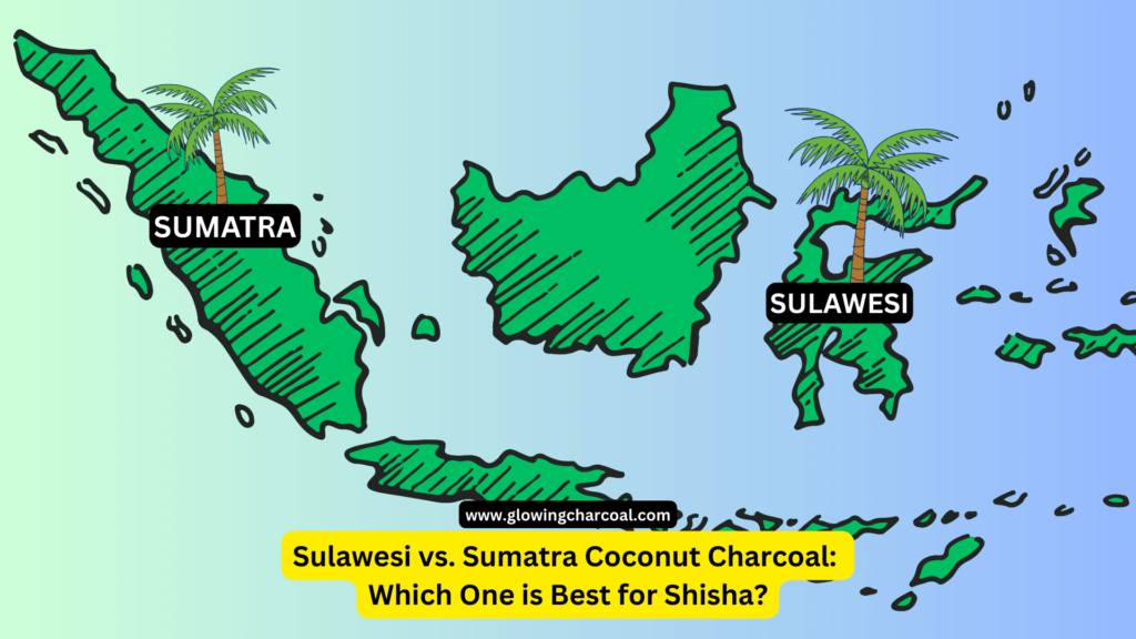 Sulawesi vs. Sumatra Coconut Charcoal: Which One is Best for Shisha?