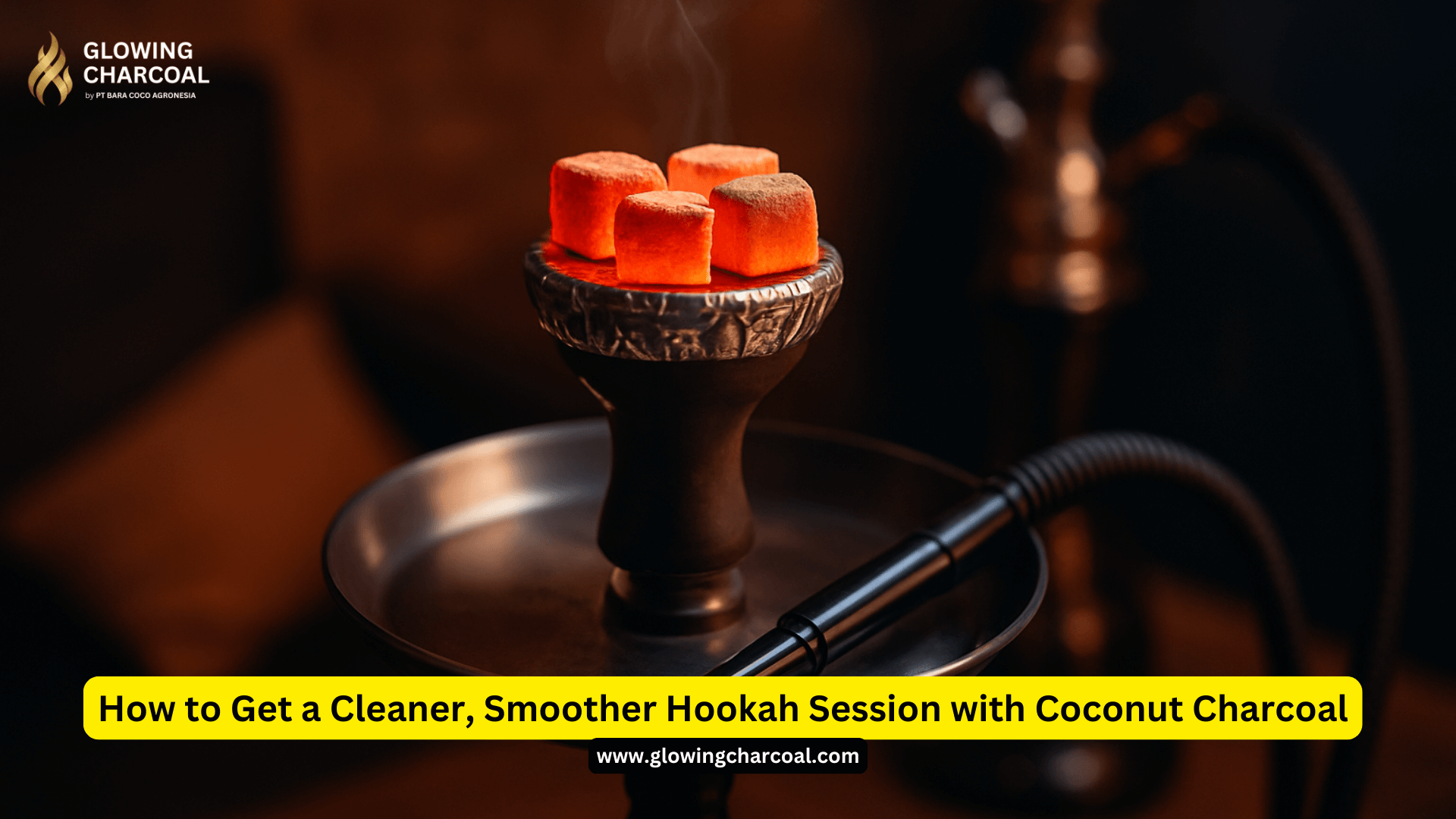 How to Get a Cleaner, Smoother Hookah Session with Coconut Charcoal
