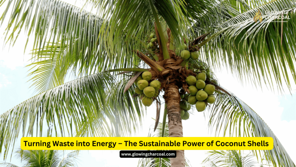 Turning Waste into Energy – The Sustainable Power of Coconut Shells