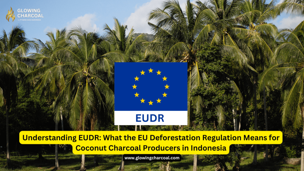 Understanding EUDR: What the EU Deforestation Regulation Means for Coconut Charcoal Producers in Indonesia