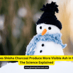Why Does Shisha Charcoal Produce More Visible Ash in Winter? The Science Explained